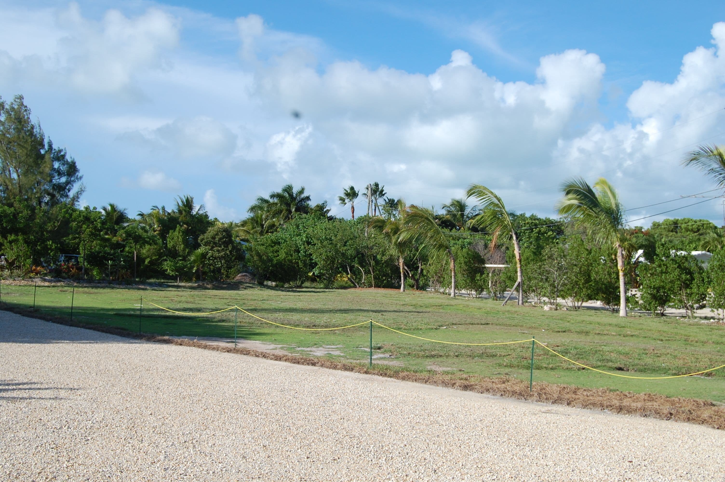 A grassy area with a rope barrier, trees, and a clear sky.