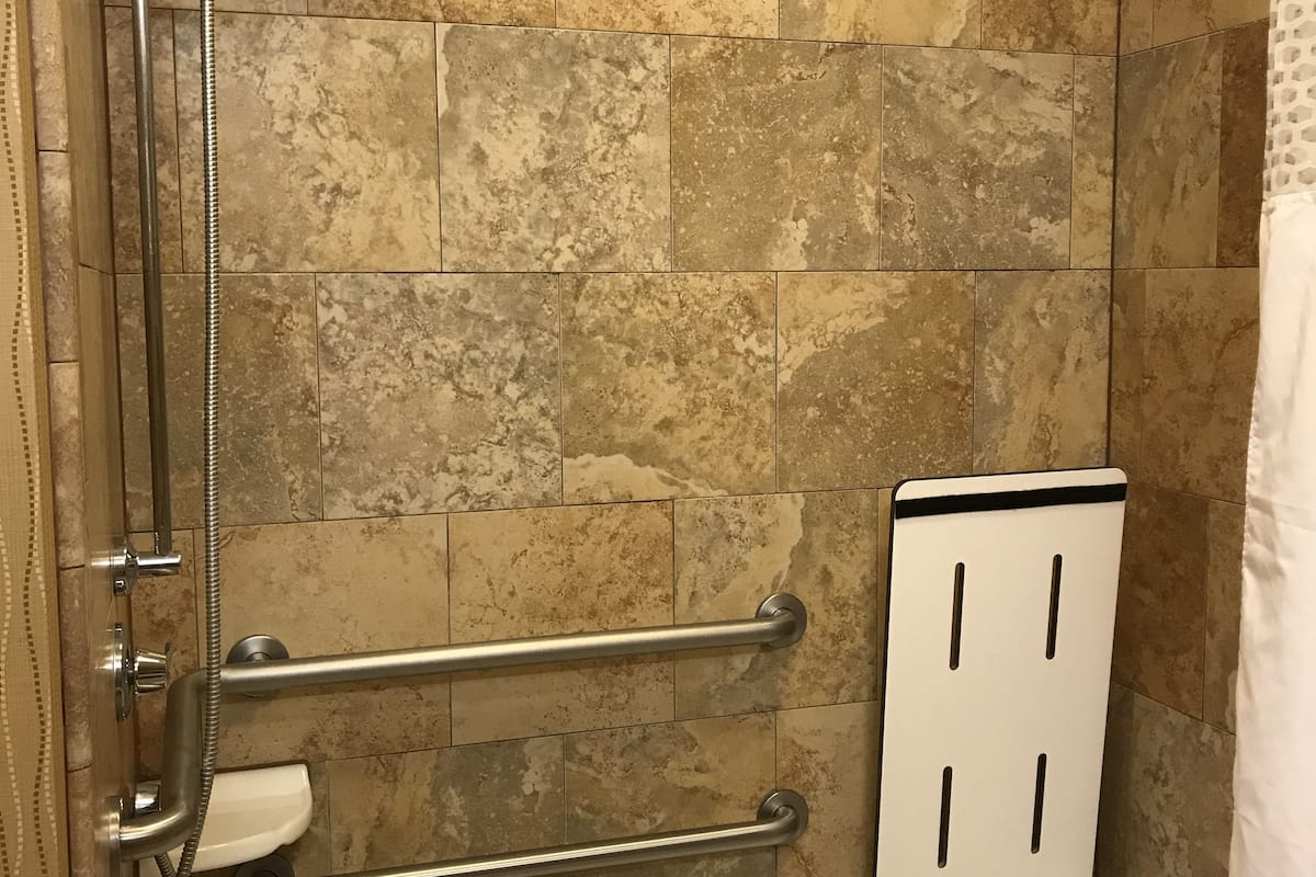 shower, free toiletries, hair dryer, towels