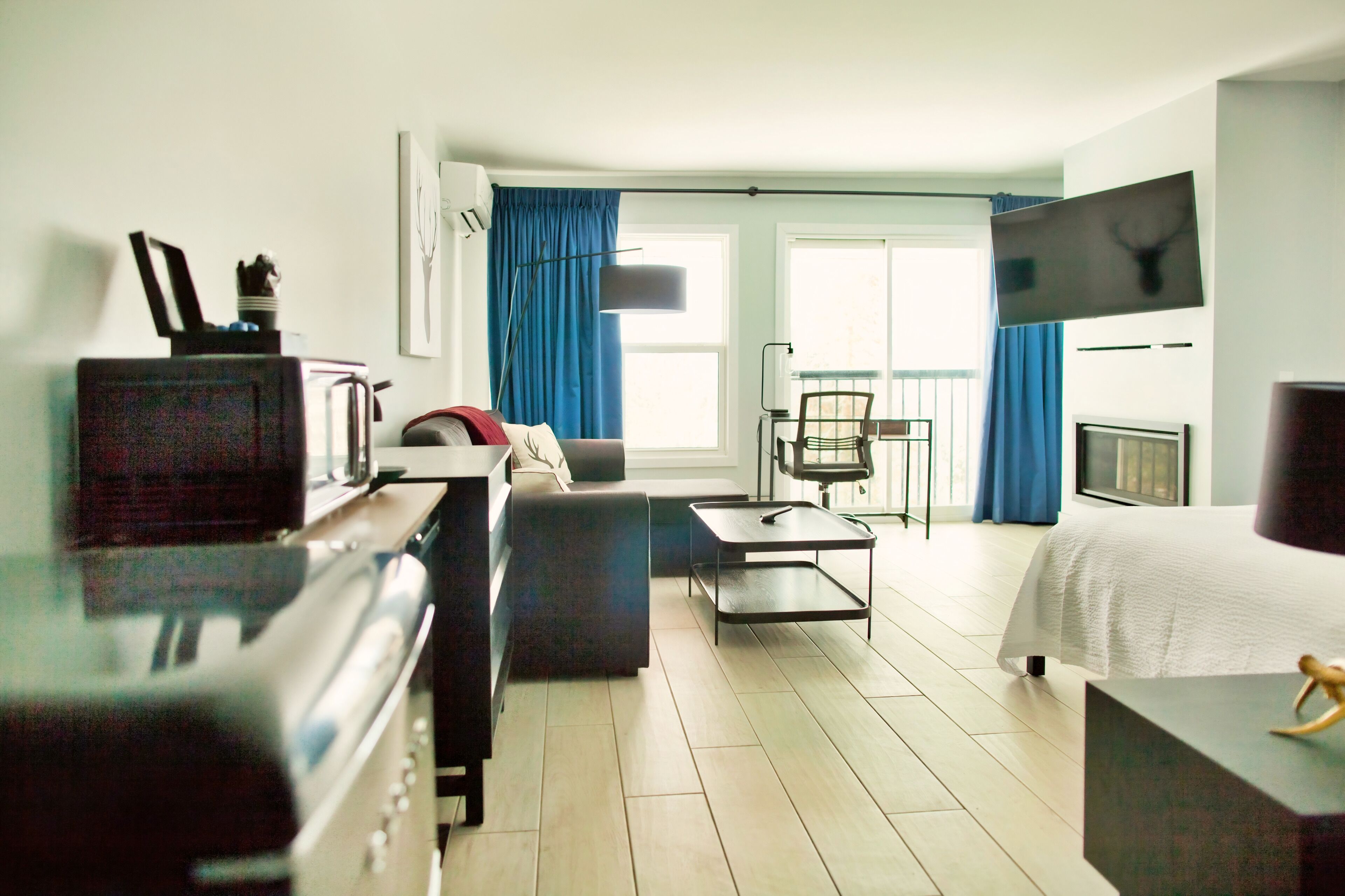 Estudio Premium, 1 cama Queen size y sofá cama, chimenea, vista al lago | Área de sala de estar | Televisión LCD de 42 pulgadas con canales premium y televisión 