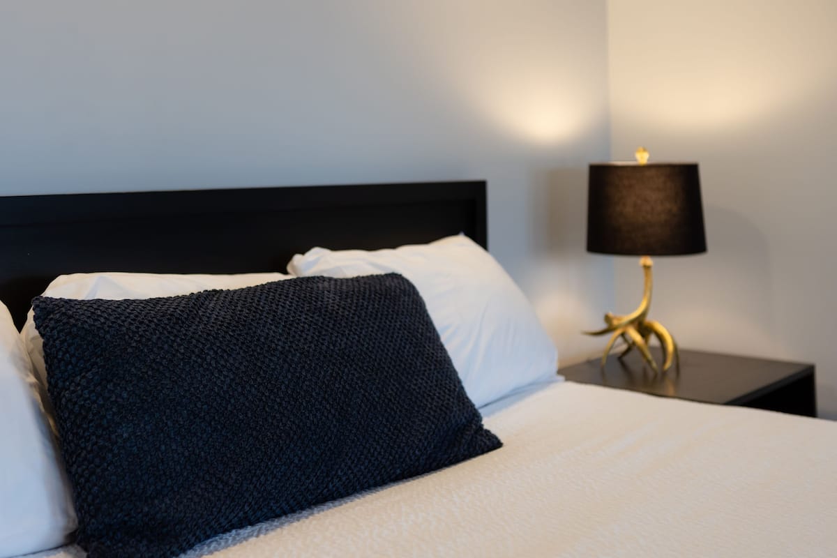 Premium Studio, 1 King Bed with Sofa bed, Fireplace, Lake View | 1 bedroom, iron/ironing board, free WiFi, bed sheets