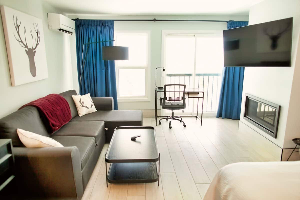 Premium Studio, 1 Queen Bed with Sofa bed, Fireplace, Lake View | 1 bedroom, iron/ironing board, free WiFi, bed sheets
