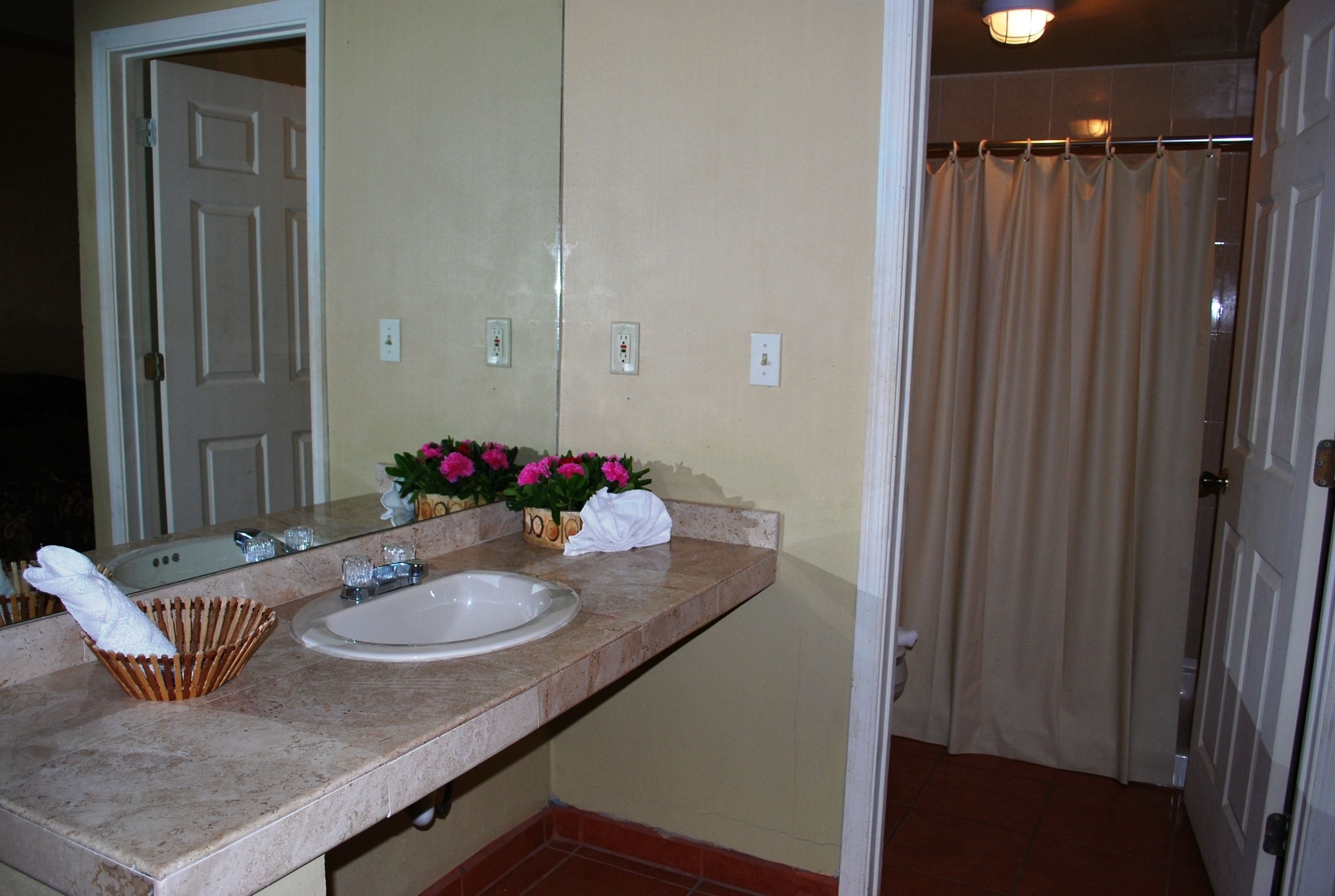 A bathroom with a sink, mirror, and a shower curtain.