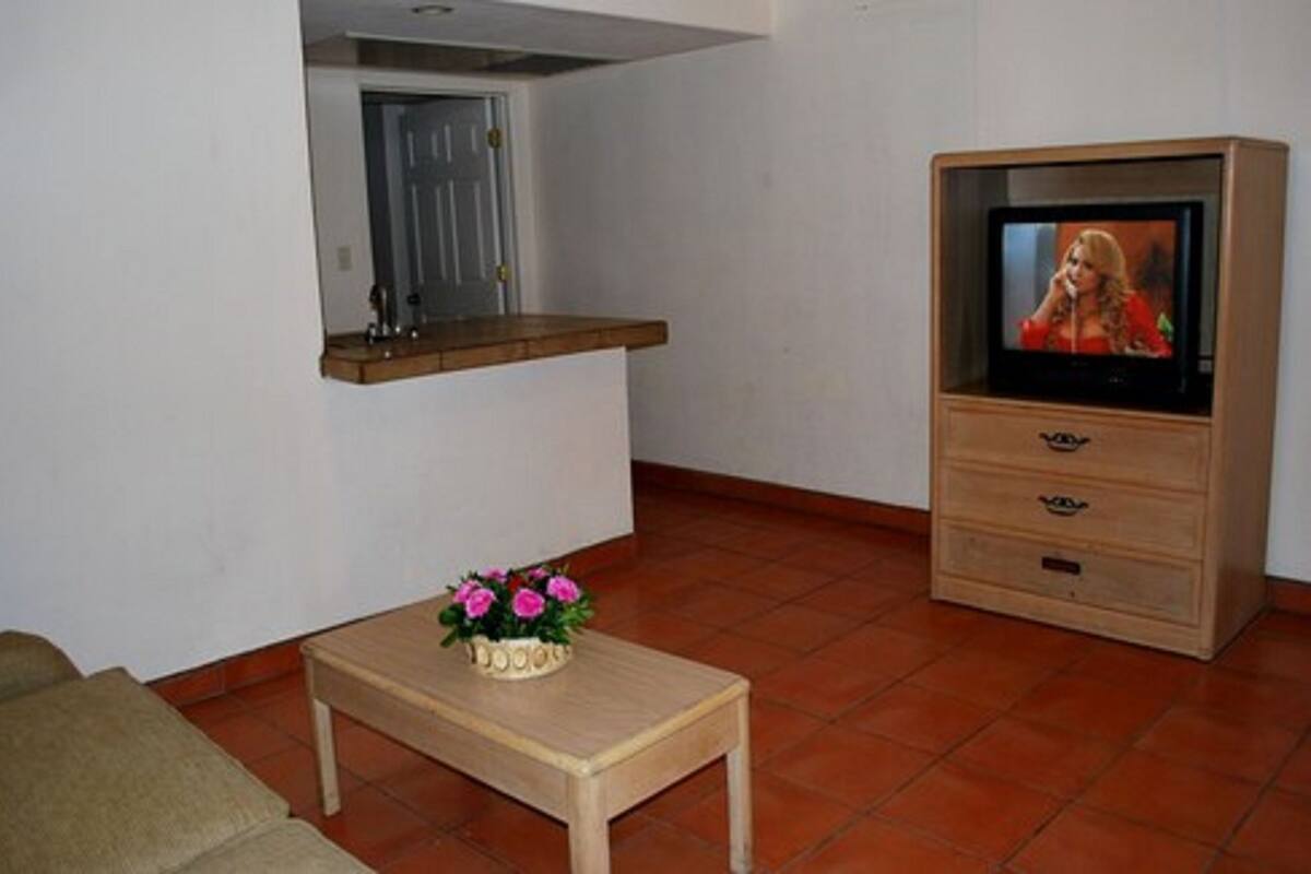 Un saló amb una televisió sobre un moble de fusta, una taula petita amb un ram de flors i una porta al fons.
