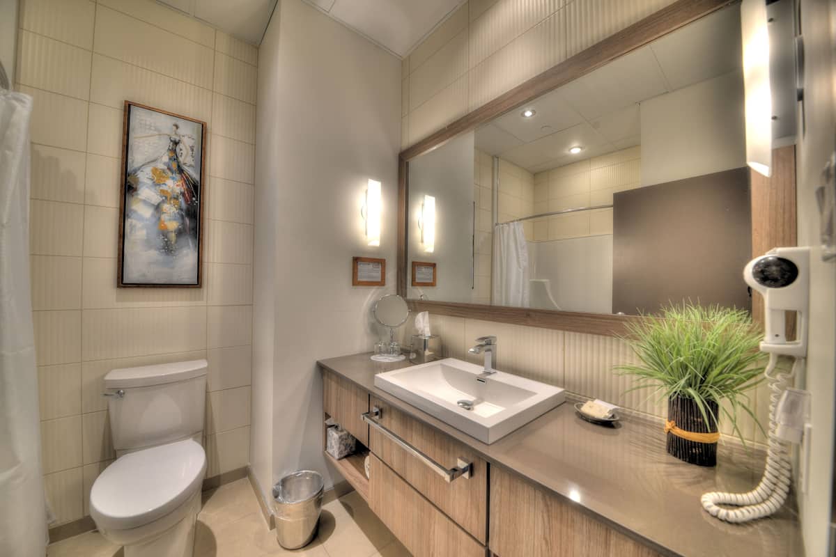 excellence room | bathroom | hair dryer