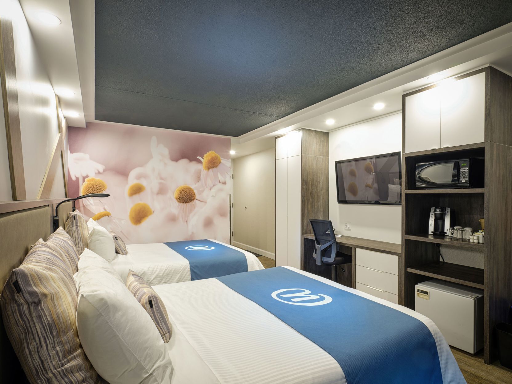 Hypo-allergenic bedding, individually decorated, individually furnished