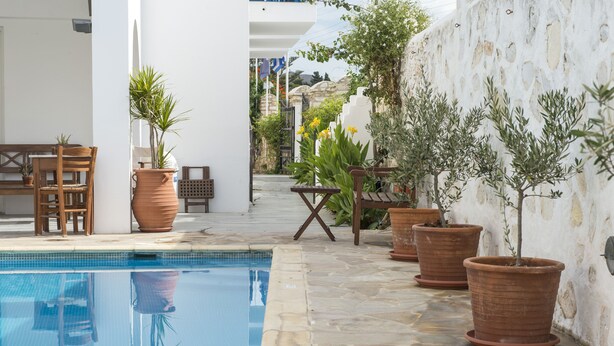 Un área junto a la piscina con suelo de piedra, muebles de madera y plantas en macetas.