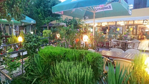 Un espacio al aire libre con mesas y sillas, rodeado de abundante vegetación y plantas.