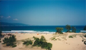 在海 滩