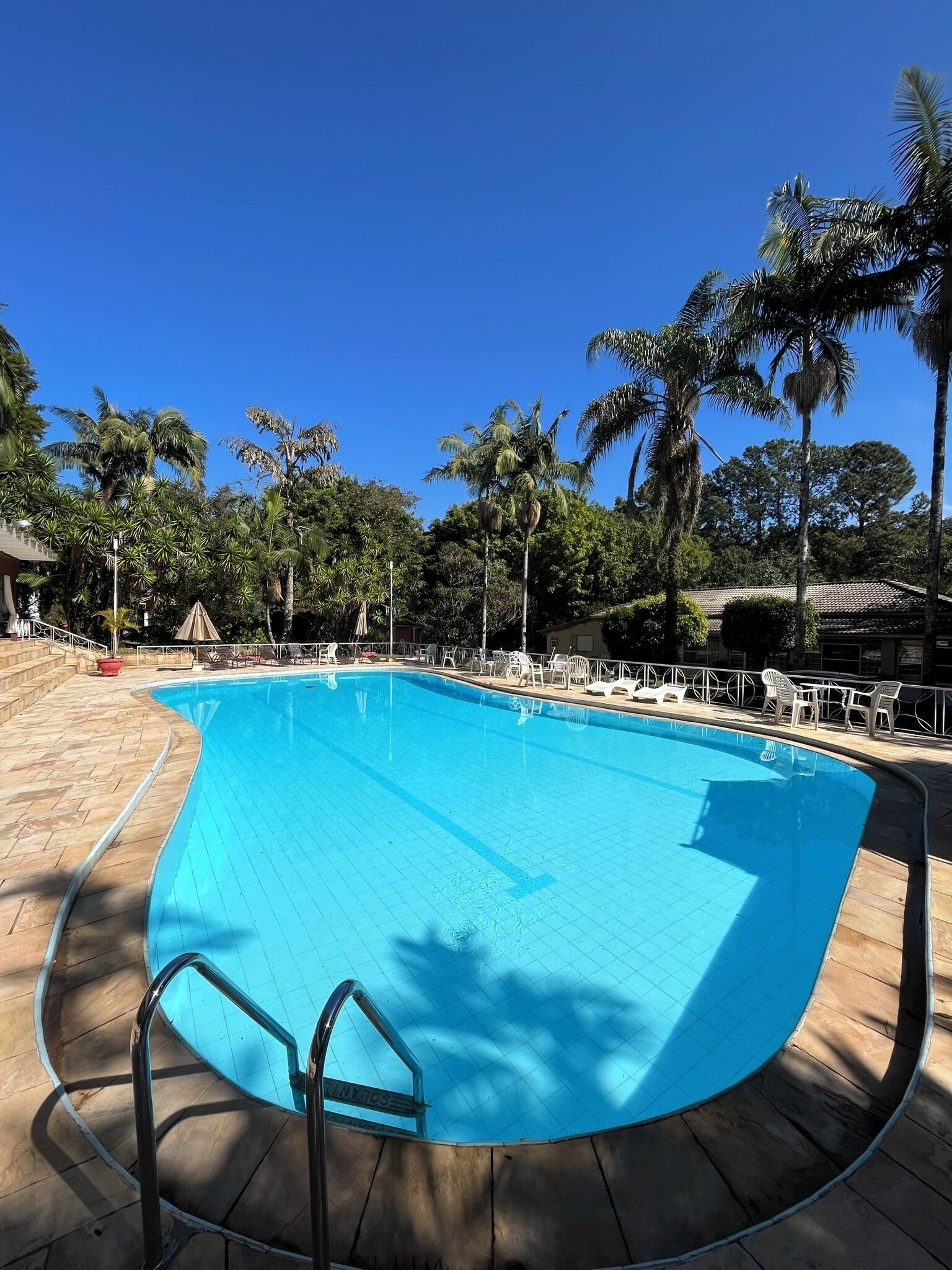 A swimming pool with a tiled deck, surrounded by palm trees and lounge chairs.