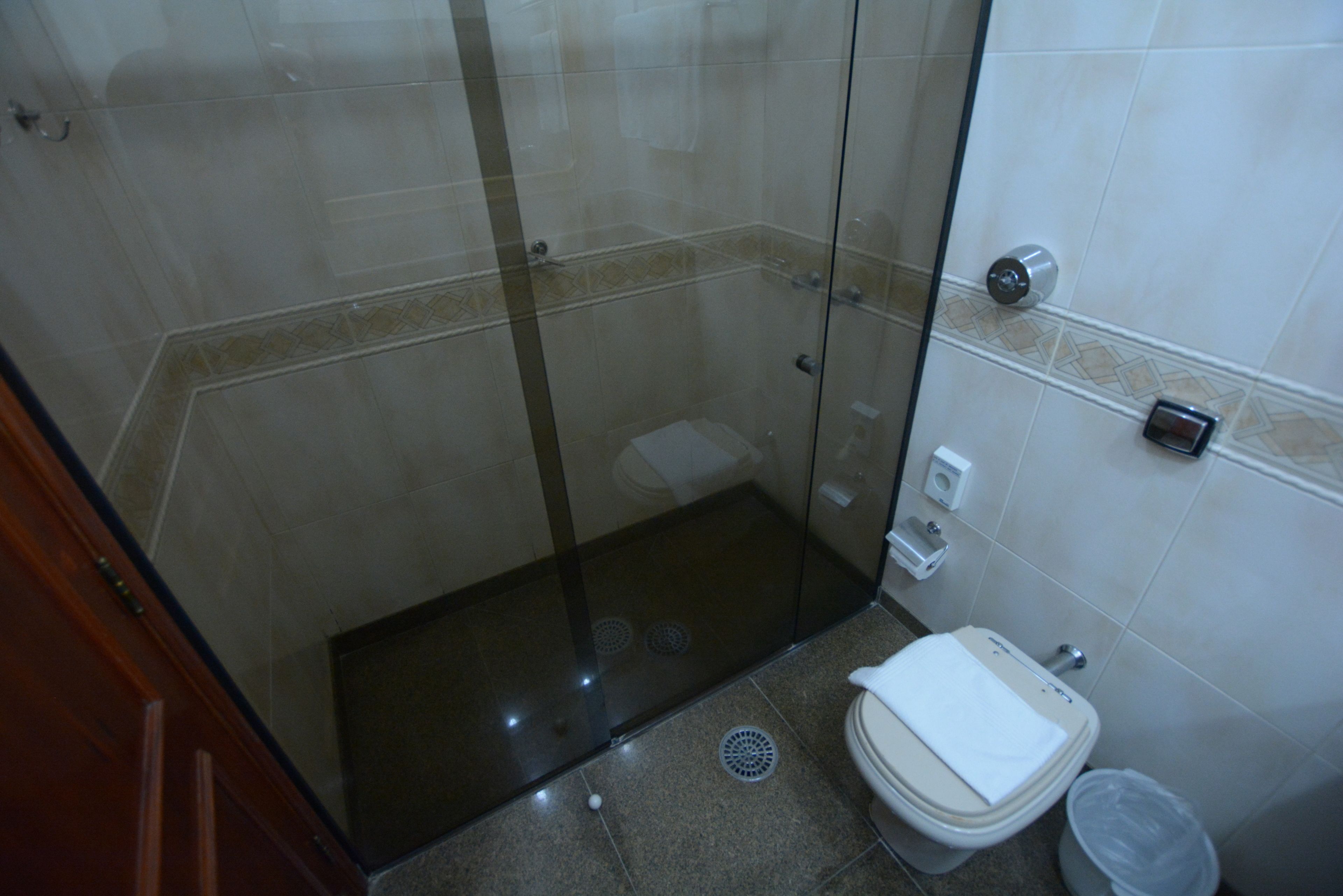 A bathroom with a glass shower enclosure, a toilet, and a trash bin.