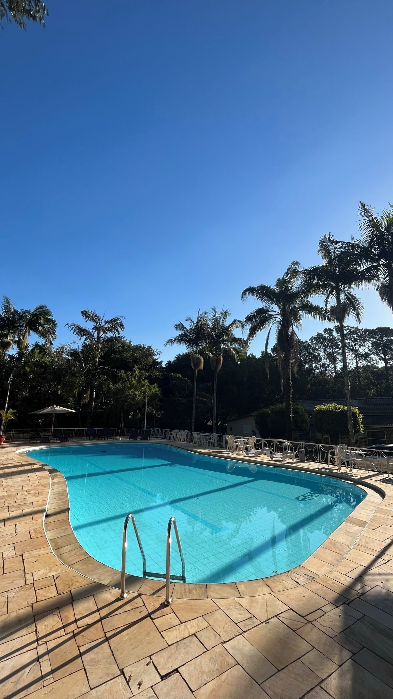 A clear blue swimming pool with a tiled deck, surrounded by palm trees and lounge chairs.