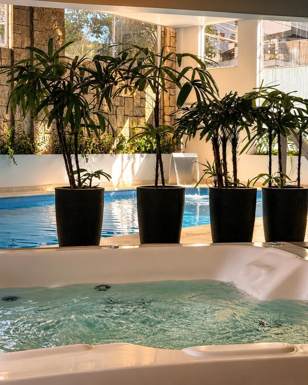 Un bain à remous avec une piscine en arrière-plan, le tout entouré de plantes en pot.