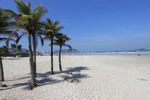 Pantai di sekitar, payung pantai, dan handuk pantai