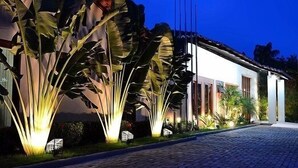 A modern house with a paved driveway and large tropical plants illuminated at night.