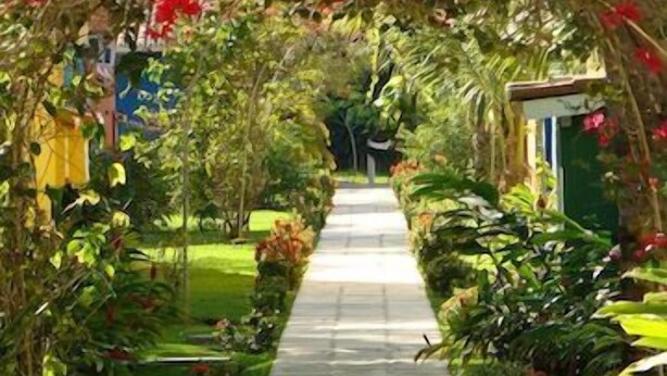 A pathway flanked by lush greenery and vibrant red flowers leading to a building with a green door.