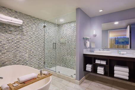 Renaissance Arlington Capital View Hotel - Image 10