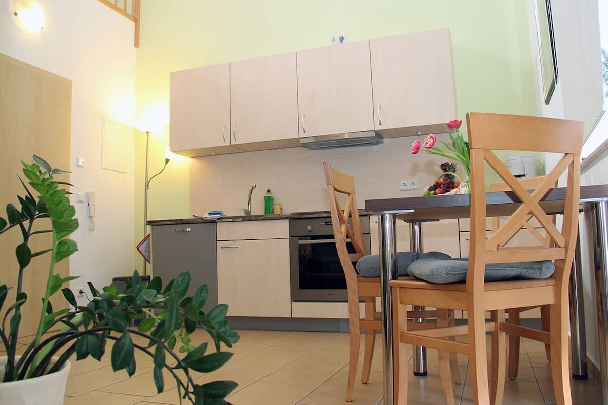 apartment (#5) | private kitchen | fridge, stovetop, dishwasher, coffee/tea maker