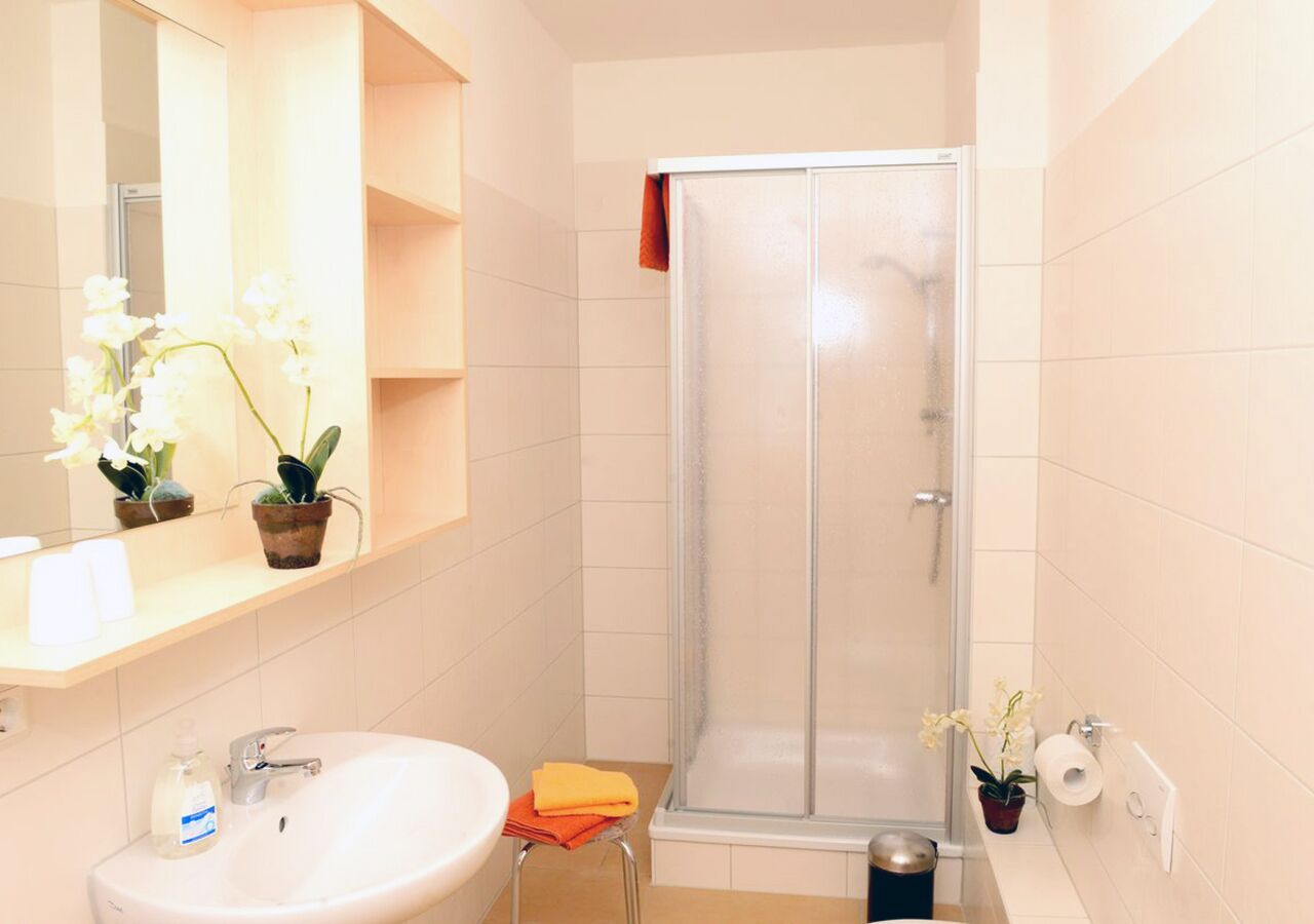 apartment (#5) | bathroom | shower, hair dryer, towels