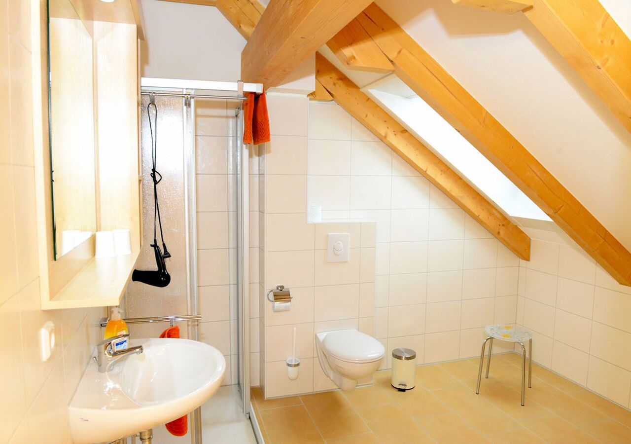 apartment (#8) | bathroom | shower, hair dryer, towels