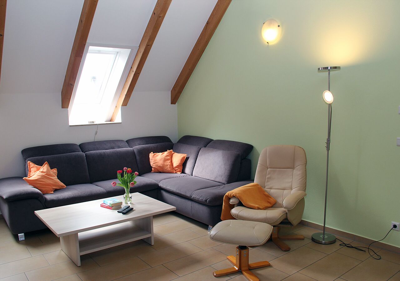 apartment (#8) | living area | tv, dvd player, heated floors