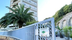 Una entrada con portón y un letrero que indica recepción, una palmera y un edificio al fondo.