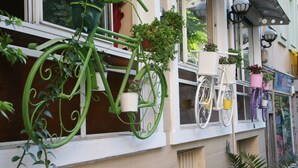 Um edifício com fachada branca, uma bicicleta verde com cesto e diversos vasos de plantas.