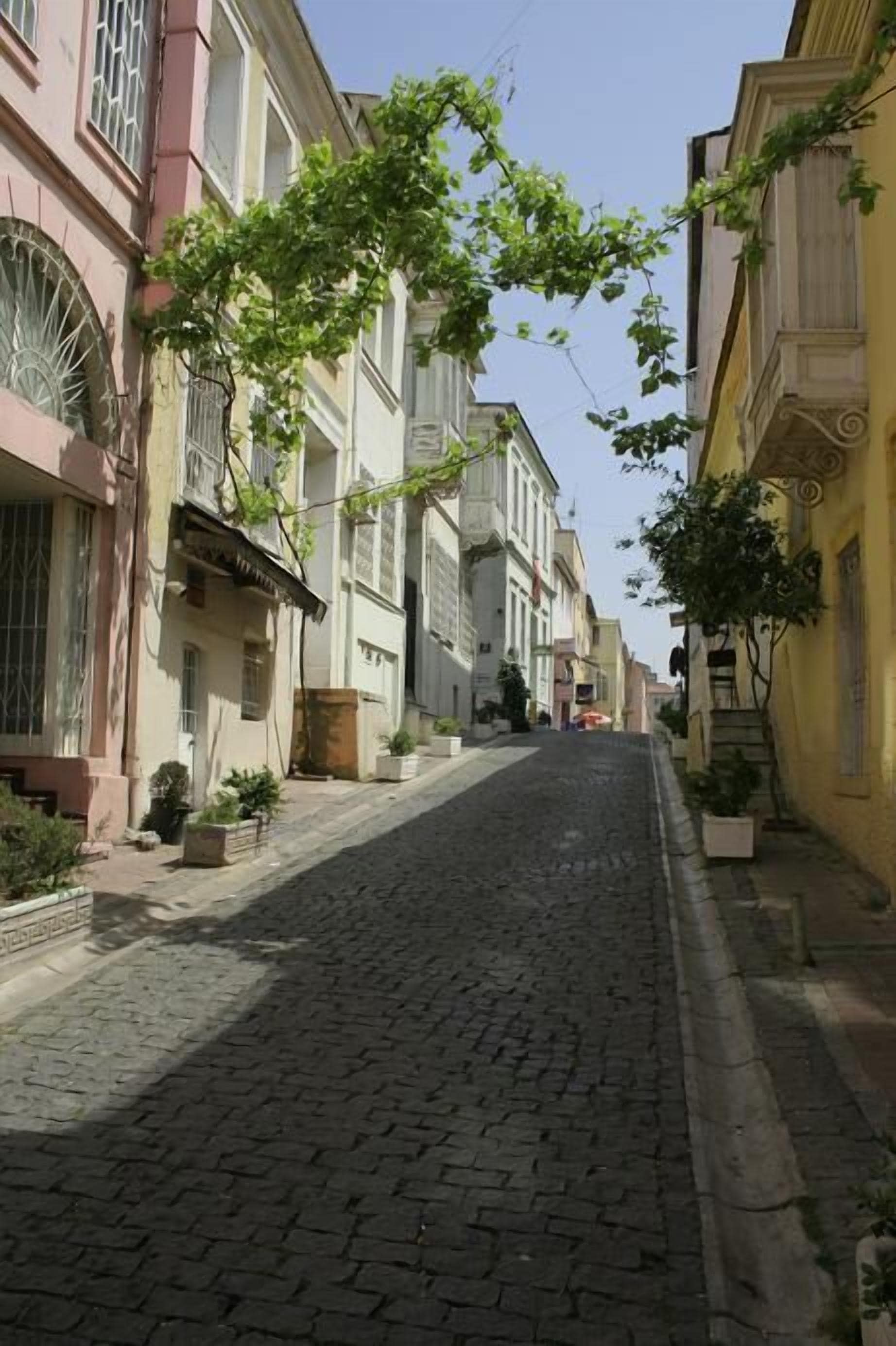 A cobblestone street lined with historic buildings, some with balconies and potted plants.