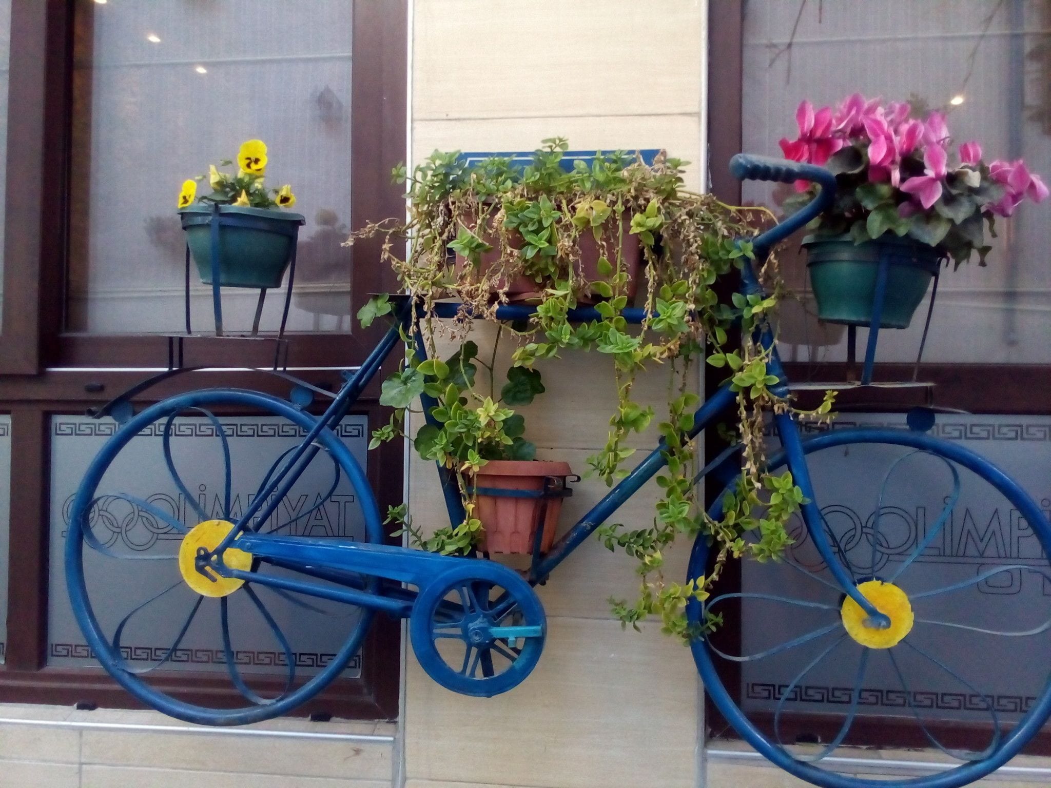 A blue bicycle with potted plants attached to the frame, parked in front of a building with a decorative window grille.
