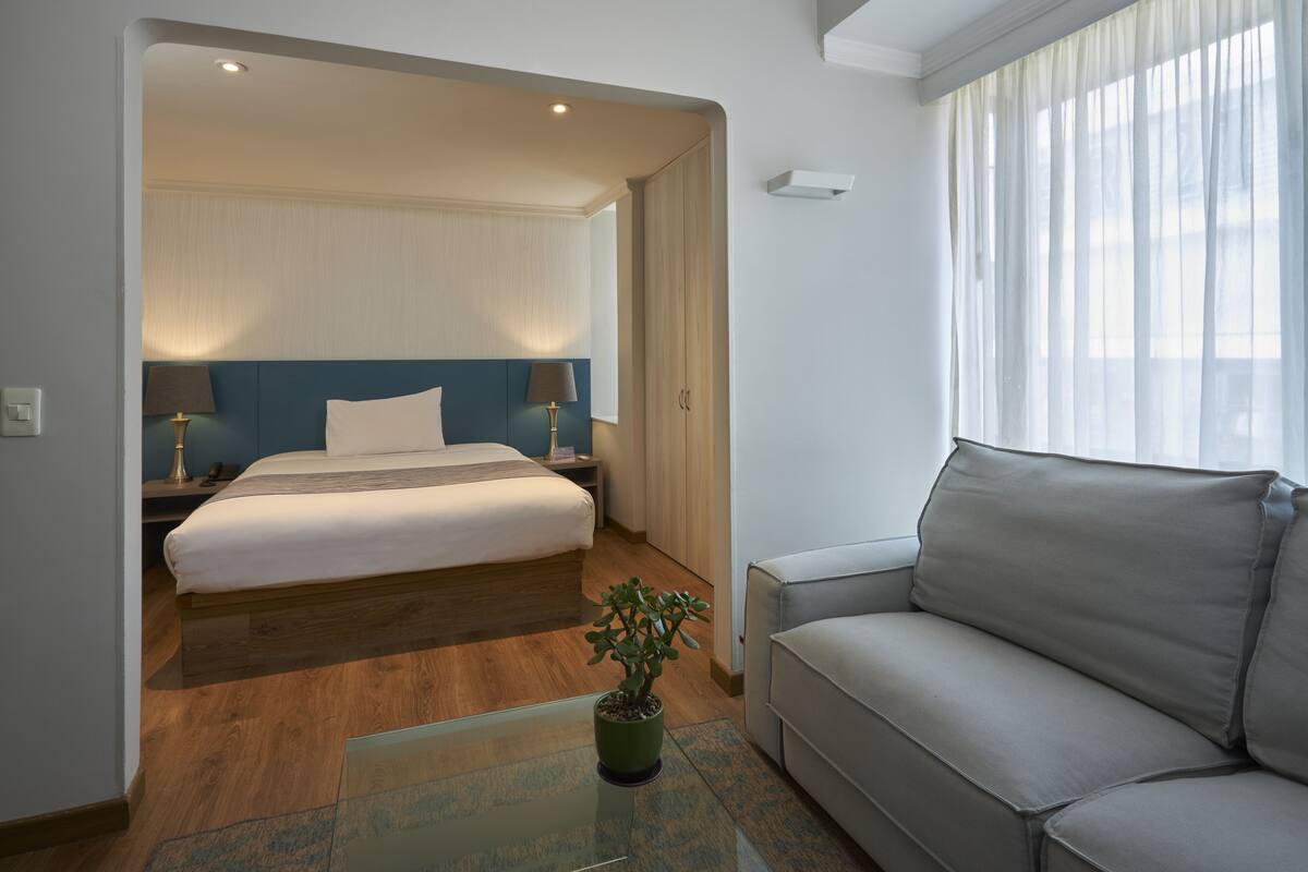 A hotel room with a bed, a sofa, a potted plant, and a window with curtains.
