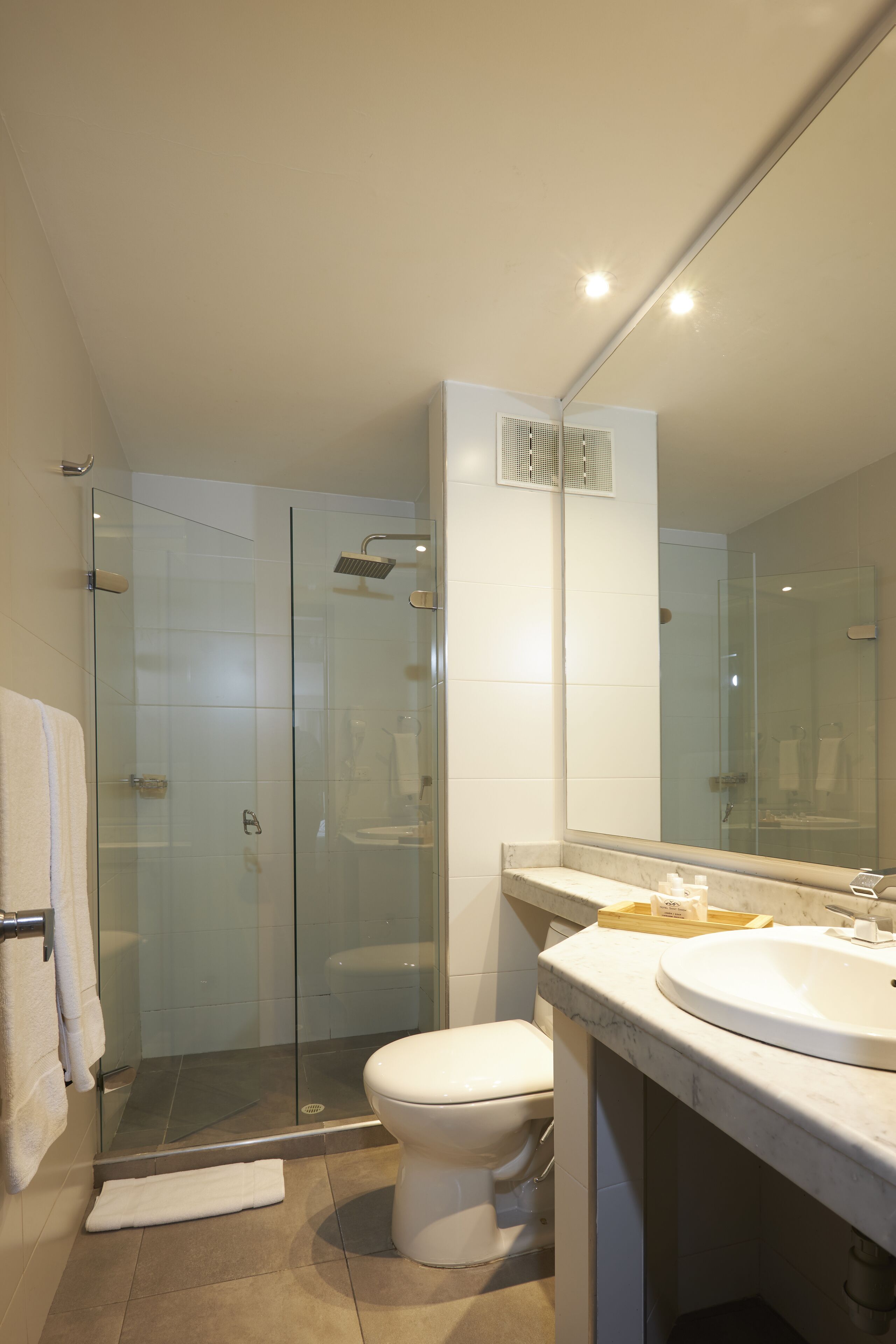 A modern bathroom with a glass-enclosed shower, a white toilet, and a large mirror above the sink.