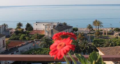 Mediterraneo