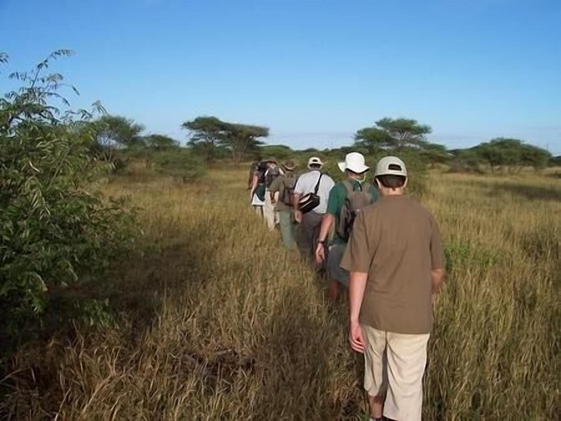 Um grupo de pessoas caminhando por um campo gramado, com árvores esparsas ao fundo.