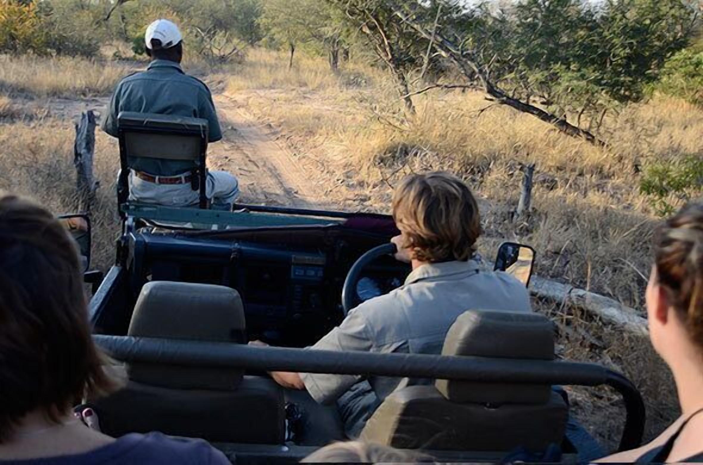 Un vehículo safari en un camino de tierra rodeado de vegetación seca.