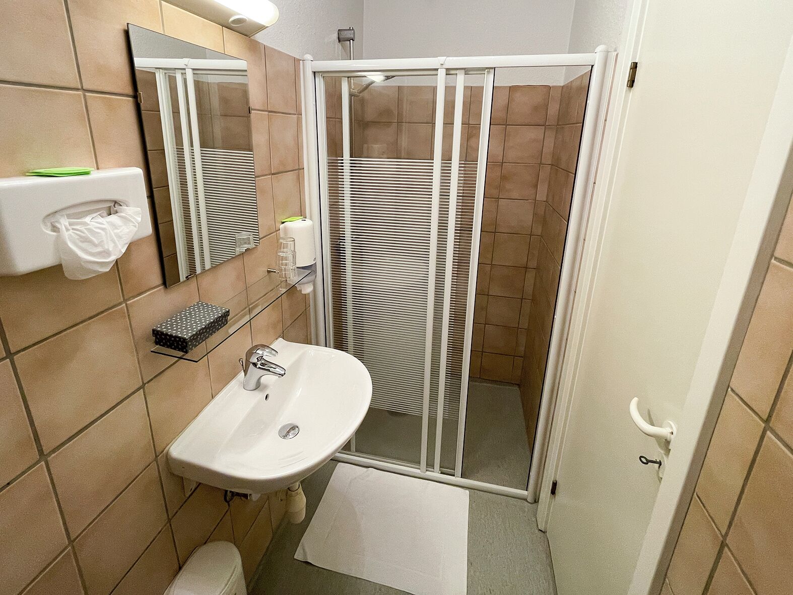 A bathroom with a shower enclosure, a sink, a toilet, and a mirror.
