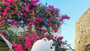 A statue of a woman holding a jug, surrounded by potted plants and a building with a stone facade.
