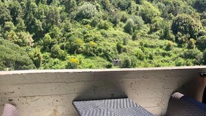 A balcony with wicker furniture and a view of a lush green hillside. - Affittacamere Alle 5 Terre (Monterosso al Mare)
