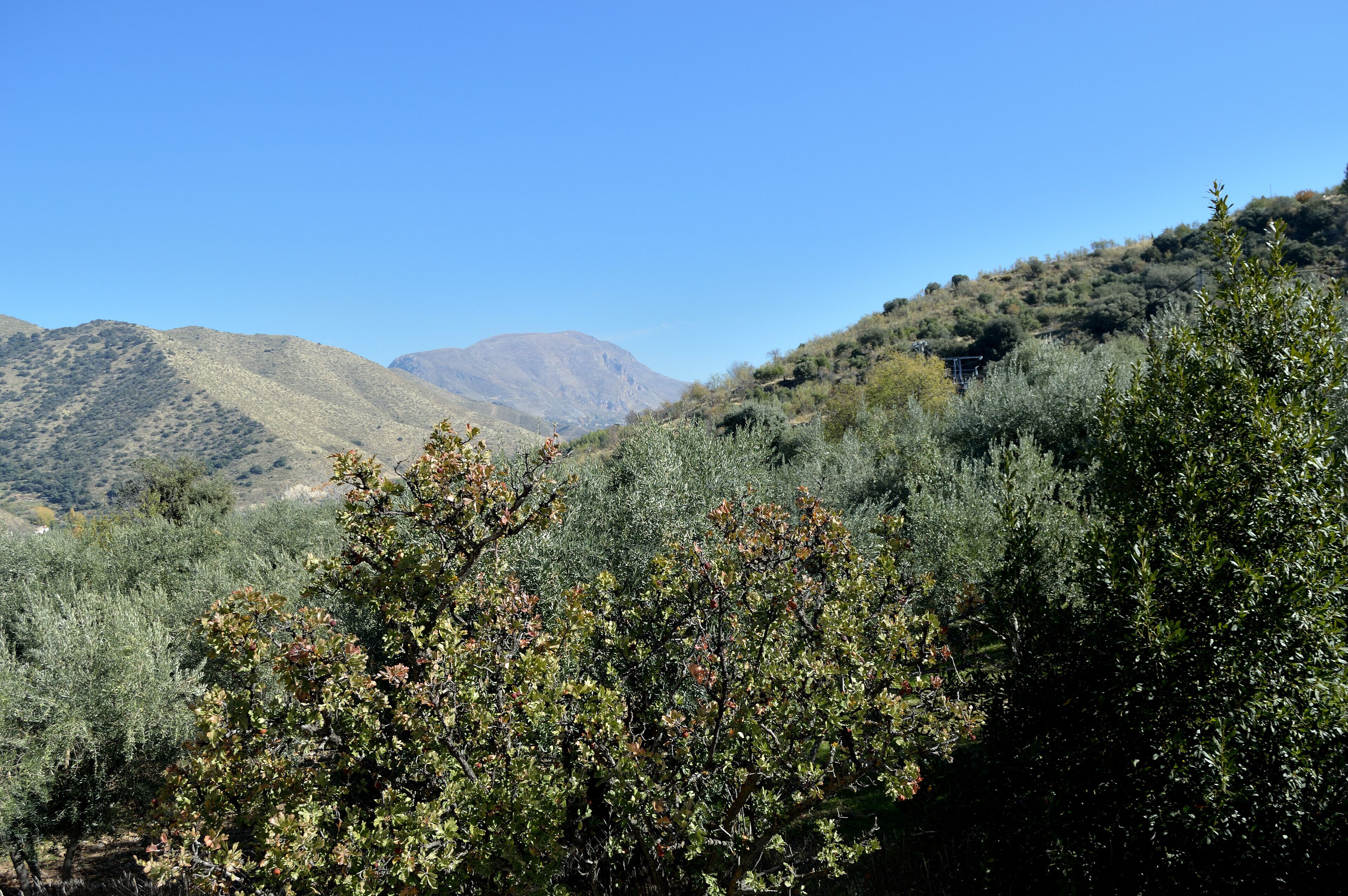 Photo - Hotel Finca Aldabra