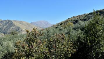 A mountainous landscape with dense shrubbery and trees.