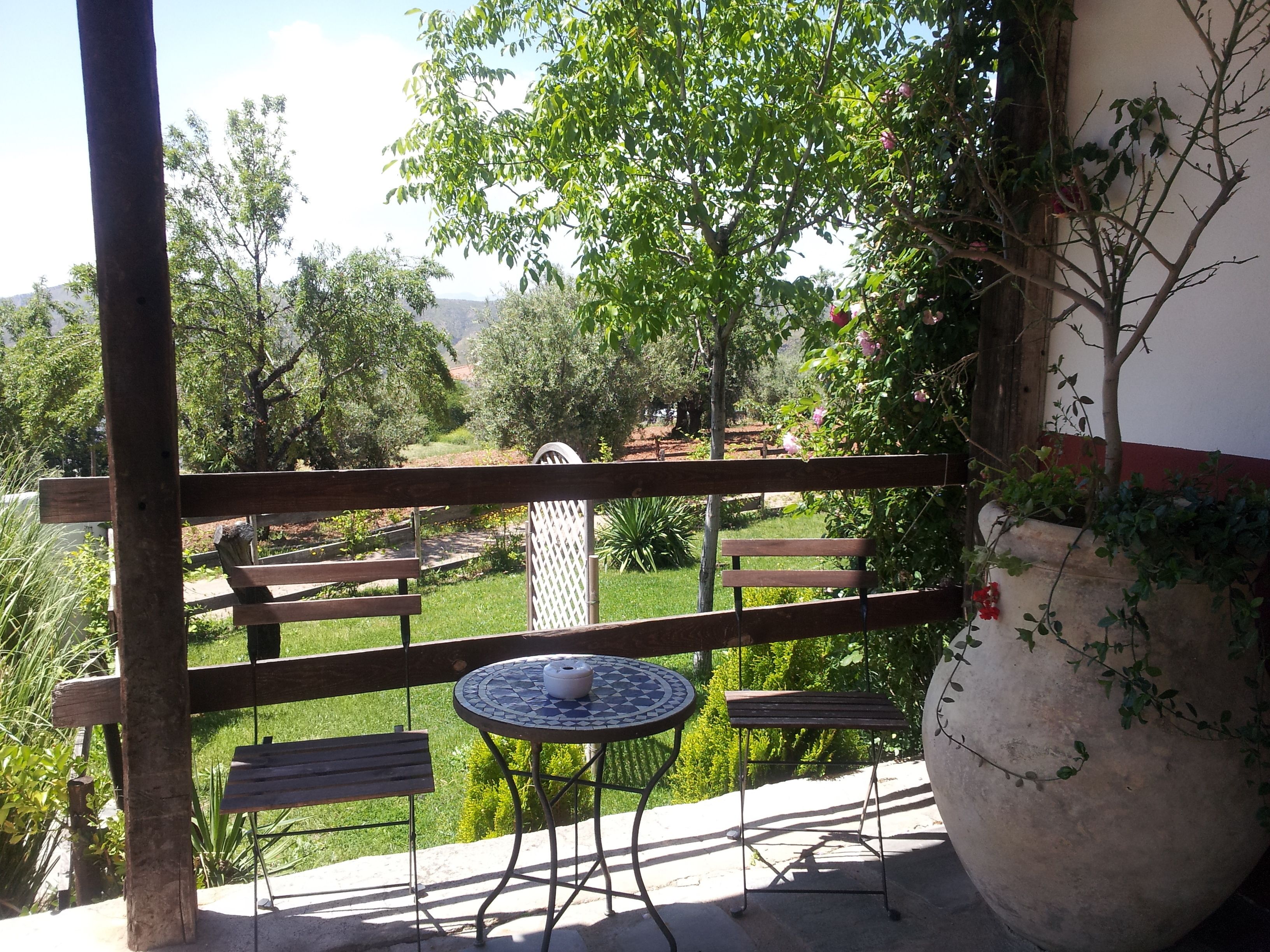 Photo - Hotel Finca Aldabra