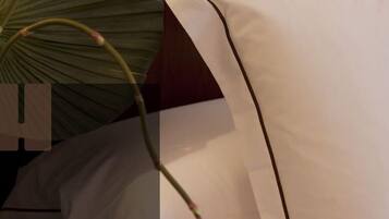 A white wall with a brown trim and a plant with green leaves.