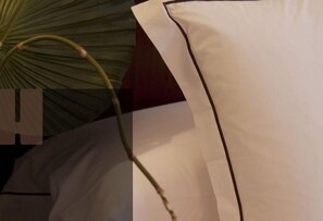 A white wall with a brown trim and a plant with green leaves. - San Pedro (Langreo)