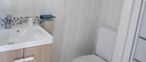 A bathroom with a sink, mirror, and toilet.