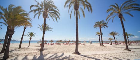 Perto da praia, areia branca, espreguiçadeiras, guarda-sóis 