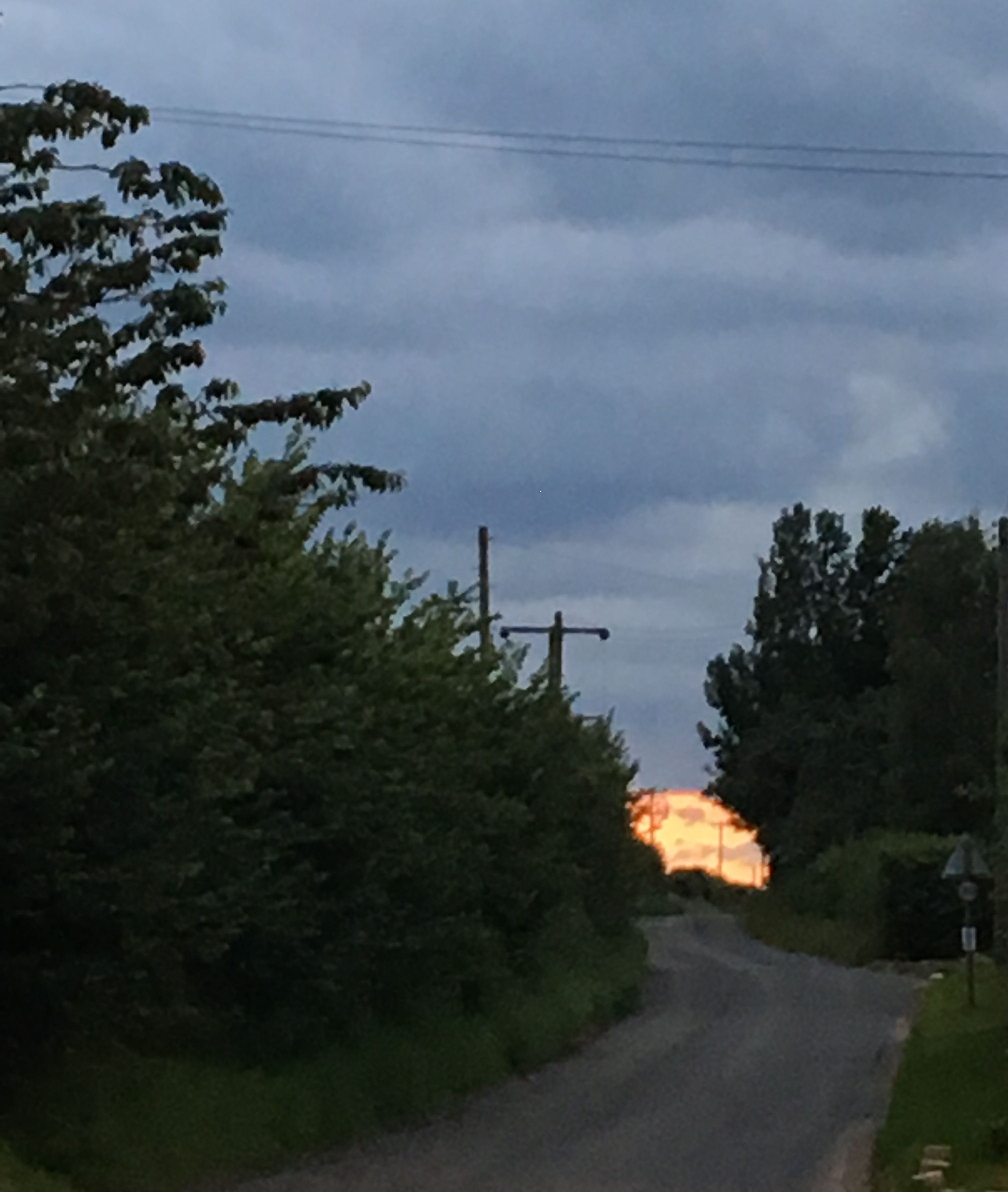 A rural road with a sunset in the distance, surrounded by greenery and utility poles.