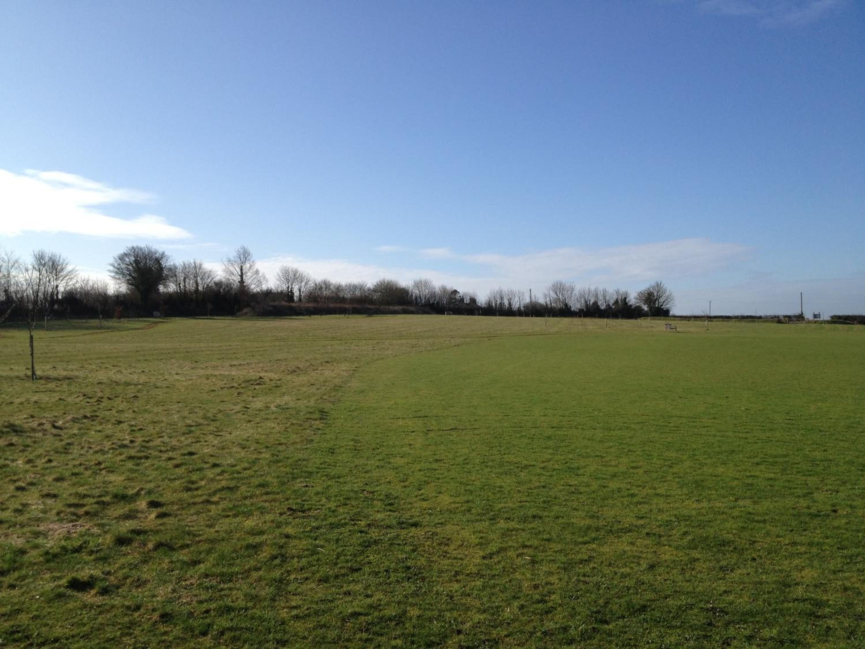 A large, open grassy field with a clear sky.