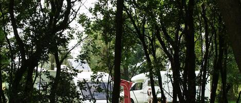 A forested area with a white RV and a red tent in the background.