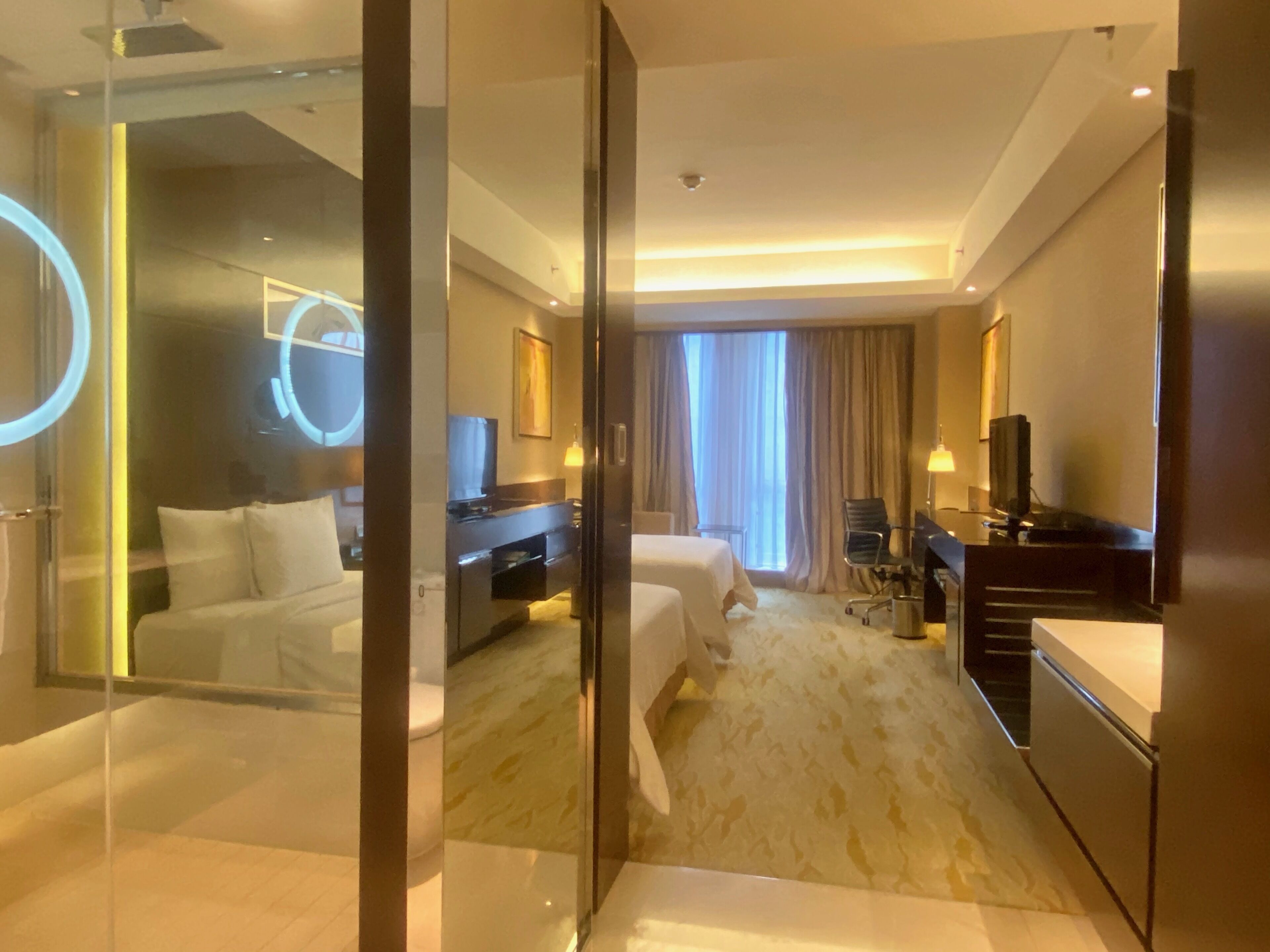 deluxe room, 2 single beds, non smoking, city view | view from room