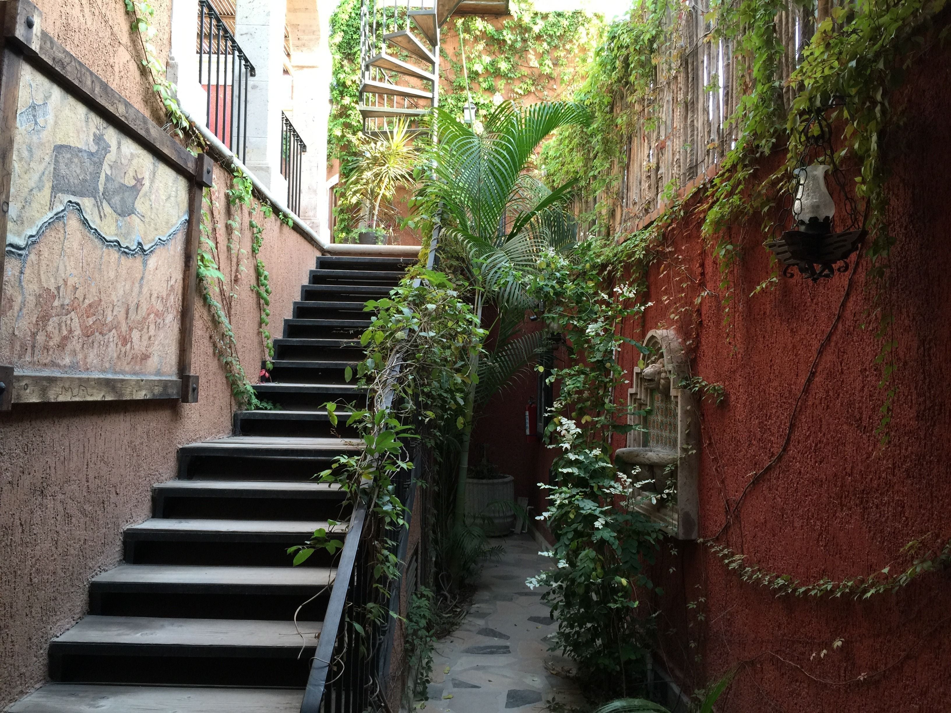 A narrow alleyway with a staircase leading to a building entrance, surrounded by lush greenery and ivy-covered walls.