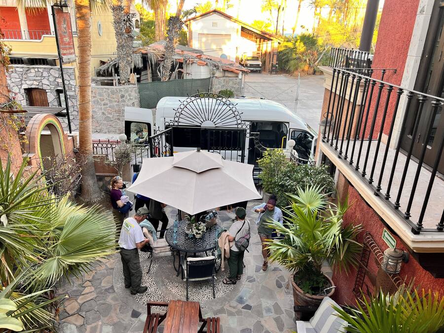An outdoor patio area with a round table and chairs, surrounded by potted plants and a large umbrella.