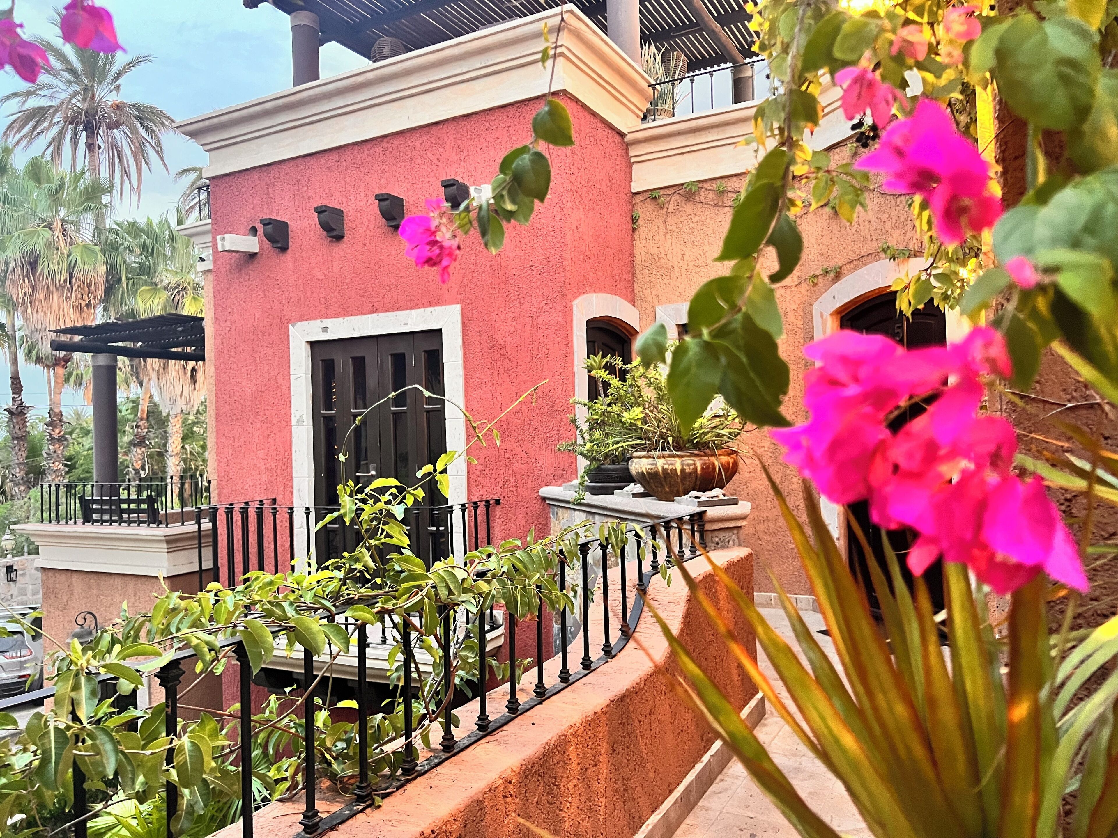 A red building with a black door, surrounded by greenery and potted plants.